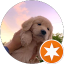 Gina profile picture