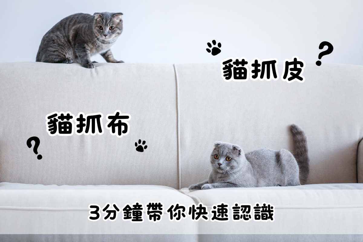sofa貓抓布貓抓皮 (2)